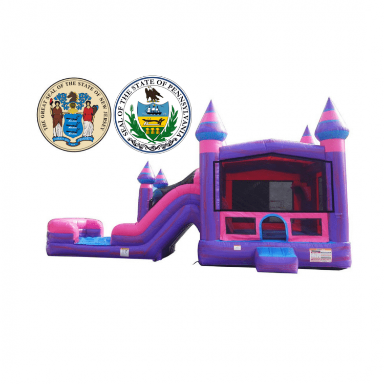 Purplish Dual Lane Bounce House W/Slide